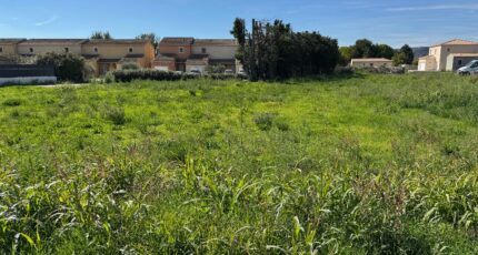 L'Isle-sur-la-Sorgue Terrain à bâtir - 2305059-695annonce420251014SlXTz.jpeg Maisons Open