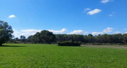 Cavaillon Terrain à bâtir - 2273430-417annonce120250916B1UrT.jpeg Maisons Open