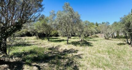 Lorgues Terrain à bâtir - 2247565-4529annonce320250820CxsUE.jpeg Maisons Open