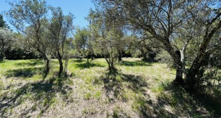 Lorgues Terrain à bâtir - 2247565-4529annonce220250820tzvEM.jpeg Maisons Open