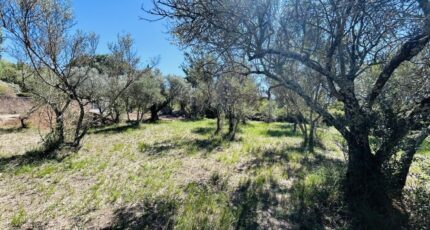 Lorgues Terrain à bâtir - 2247565-4529annonce120250820NG05K.jpeg Maisons Open