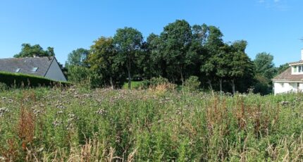 Ingouville Terrain à bâtir - 2309824-11168annonce120251018gNqI8.jpeg Maisons Open