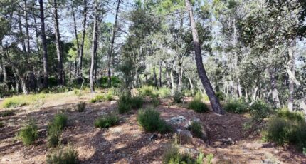 Vidauban Terrain à bâtir - 2342069-11039annonce220251118sWRLp.jpeg Maisons Open