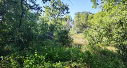 Néoules Terrain à bâtir - 2342206-11039annonce220251118GTaGQ.jpeg Maisons Open