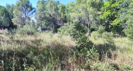 Néoules Terrain à bâtir - 2342206-11039annonce320251118DNy1k.jpeg Maisons Open