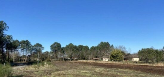 Terrain à bâtir à Le Porge, Nouvelle-Aquitaine