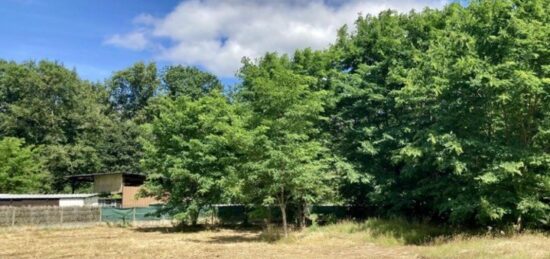Terrain à bâtir à Le Taillan-Médoc, Nouvelle-Aquitaine