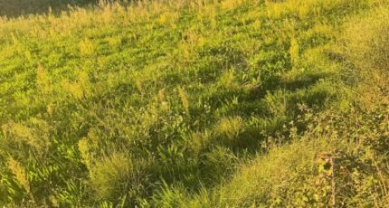 Istres Terrain à bâtir - 2341937-11677annonce2202511189TIKI.jpeg Maisons Open