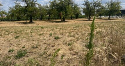 Lévignac-de-Guyenne Terrain à bâtir - 2340372-9795annonce120250306lfuCO.jpeg Maisons Open