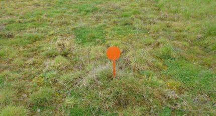 Cinq-Mars-la-Pile Terrain à bâtir - 2336251-10999annonce120251113UzSt6.jpeg Maisons Open