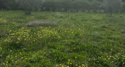 Saint-Cannat Terrain à bâtir - 2302386-7054annonce220251012XPA4W.jpeg Maisons Open