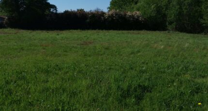 Périgueux Terrain à bâtir - 2266853-11235annonce1202509104psHk.jpeg Maisons Open