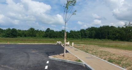 Lherm Terrain à bâtir - 2342049-10326annonce220251118qsIX7.jpeg Maisons Open