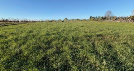 Capian Terrain à bâtir - 2342475-10677annonce120251119H7OaJ.jpeg Maisons Open