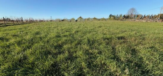 Terrain à bâtir à Capian, Nouvelle-Aquitaine