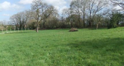 Béhoust Terrain à bâtir - 2273374-11364annonce320250916xdOCp.jpeg Maisons Open