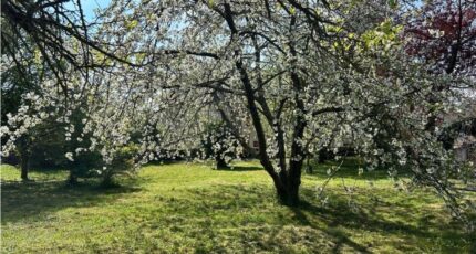 Mareil-le-Guyon Terrain à bâtir - 2273470-11364annonce220250916TED9G.jpeg Maisons Open