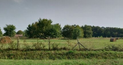 Laruscade Terrain à bâtir - 2342474-10276annonce120251119nS3Bm.jpeg Maisons Open