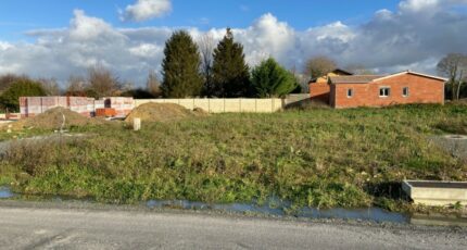 Le Taillan-Médoc Terrain à bâtir - 2342745-11689annonce120251119PDtA6.jpeg Maisons Open