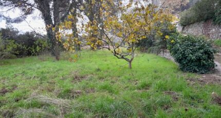 La Garde-Freinet Terrain à bâtir - 2274753-9707annonce120250917E6DDV.jpeg Maisons Open