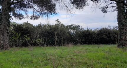 La Garde-Freinet Terrain à bâtir - 2274753-9707annonce220250917RJPrg.jpeg Maisons Open