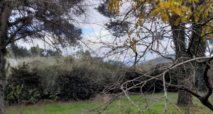 La Garde-Freinet Terrain à bâtir - 2274753-9707annonce420250917fnoed.jpeg Maisons Open