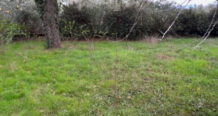 La Garde-Freinet Terrain à bâtir - 2274753-9707annonce520250917acByB.jpeg Maisons Open