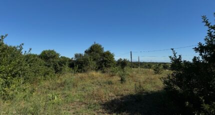 Montpezat Terrain à bâtir - 2307603-11455annonce120251016qGQfD.jpeg Maisons Open