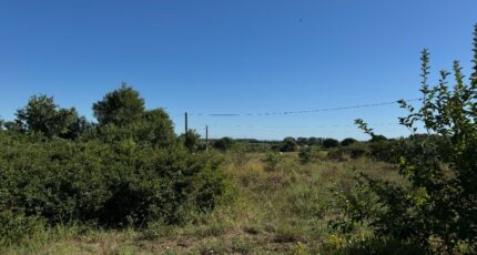 Montpezat Terrain à bâtir - 2307601-11455annonce1202510162KXtM.jpeg Maisons Open