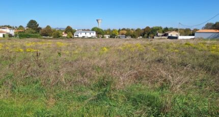 Meschers-sur-Gironde Terrain à bâtir - 2342434-3362annonce120251119wXynH.jpeg Maisons Open