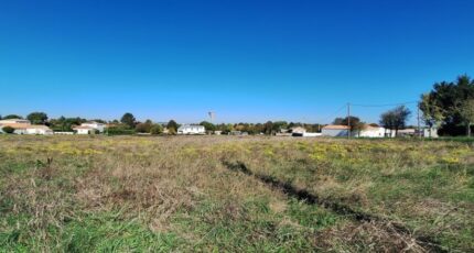 Meschers-sur-Gironde Terrain à bâtir - 2342642-3362annonce120251119lQd5c.jpeg Maisons Open