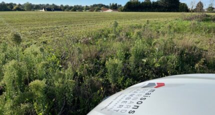 Saint-Georges-des-Gardes Terrain à bâtir - 2342911-11353annonce12025111946ISz.jpeg Maisons Open