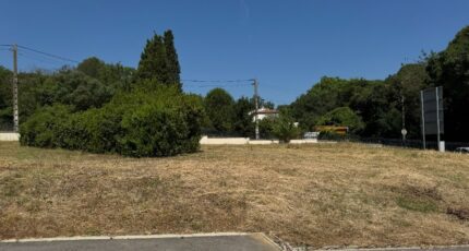 Montpellier Terrain à bâtir - 2307453-11455annonce120250620D6gBk.jpeg Maisons Open