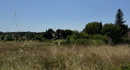 Aubais Terrain à bâtir - 2307439-11455annonce120250623wdJRp.jpeg Maisons Open