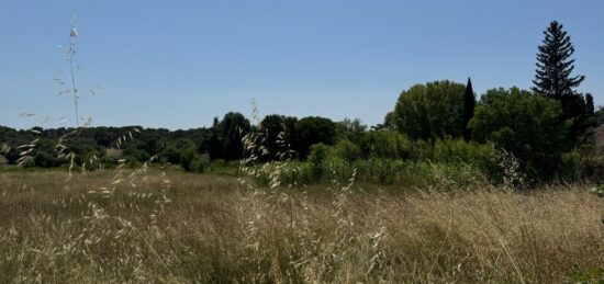 Terrain à bâtir à Aubais, Occitanie