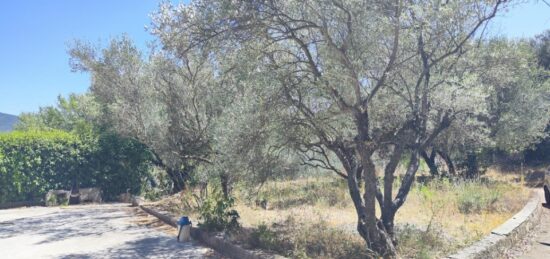 Terrain à bâtir à Pignans, Provence-Alpes-Côte d'Azur