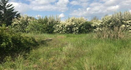 Puget-Ville Terrain à bâtir - 2343368-9599annonce120251119U8EX4.jpeg Maisons Open