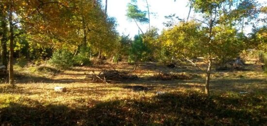 Terrain à bâtir à Mios, Nouvelle-Aquitaine
