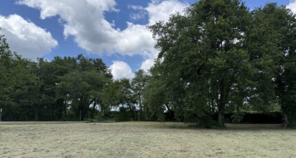 Margaux Terrain à bâtir - 2303920-11370annonce120251013TPuDT.jpeg Maisons Open