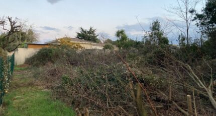 Léognan Terrain à bâtir - 2343449-1088annonce120251119EXX1G.jpeg Maisons Open