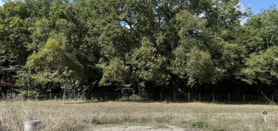 Terrain à bâtir à Bouliac, Nouvelle-Aquitaine