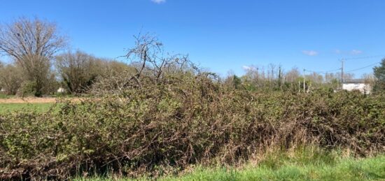 Terrain à bâtir à Ambarès-et-Lagrave, Nouvelle-Aquitaine