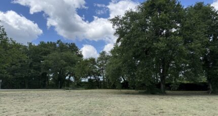 Margaux Terrain à bâtir - 2343456-1088annonce120251119g3p9G.jpeg Maisons Open