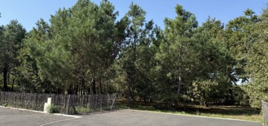 Terrain à bâtir à Le Porge, Nouvelle-Aquitaine