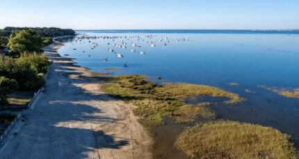 Arès Terrain à bâtir - 2343471-1088annonce120251119dUQDH.jpeg Maisons Open