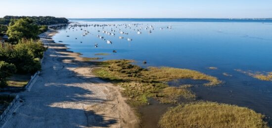 Terrain à bâtir à Arès, Nouvelle-Aquitaine
