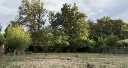 Martignas-sur-Jalle Terrain à bâtir - 2343470-1088annonce120251119oOgpu.jpeg Maisons Open