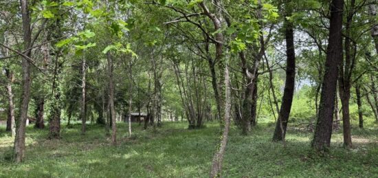 Terrain à bâtir à Mios, Nouvelle-Aquitaine