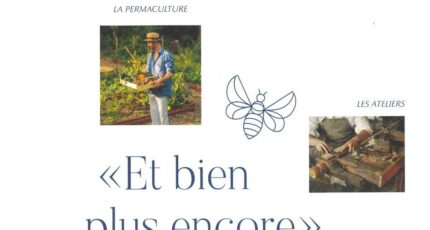 Dax Terrain à bâtir - 2343478-1088annonce320251120dTULU.jpeg Maisons Open