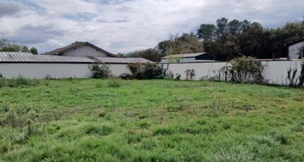 Le Barp Terrain à bâtir - 2343579-11193annonce120251120bFZHJ.jpeg Maisons Open